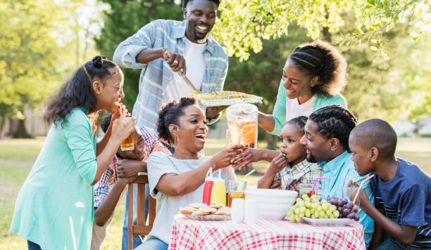 Family Reunion Picnic